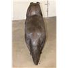 Image 5 : XL Bronze COLLIE Dog Bronze Sculpture, Weight 58 lbs