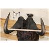Image 8 : BLACK WILDEBEEST Shoulder Mount