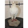 Image 3 : *Rarely Seen* Life-sized RACING PIGEON on a simulated Rock Base