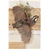 Image 1 : Life-sized Flying NORTHERN BOBWHITE QUAIL on a Wall Hanger with Foliage