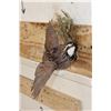 Image 2 : Life-sized Flying NORTHERN BOBWHITE QUAIL on a Wall Hanger with Foliage