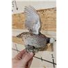 Image 6 : Life-sized Flying NORTHERN BOBWHITE QUAIL on a Wall Hanger with Foliage
