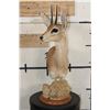 Image 2 : STEENBOK Table Pedestal Mount