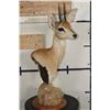 Image 3 : STEENBOK Table Pedestal Mount