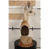 Image 7 : STEENBOK Table Pedestal Mount