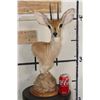 Image 8 : STEENBOK Table Pedestal Mount