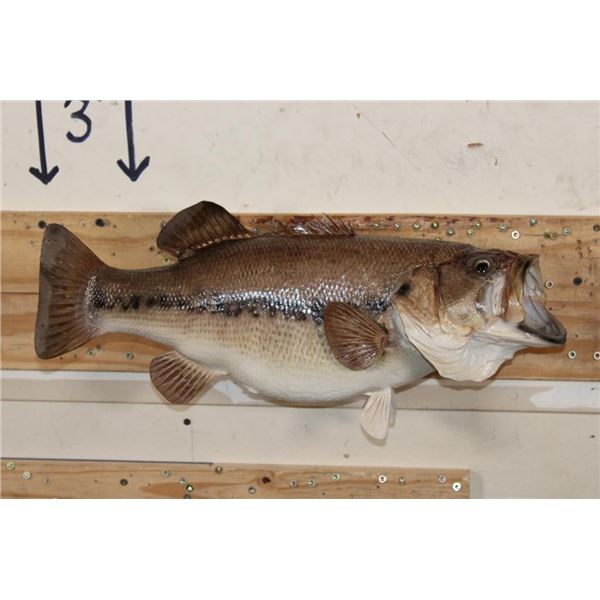 *Real Skin* BASS Fish Mount