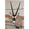 Image 1 : GEMSBOK Shoulder Mount
