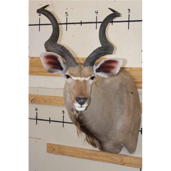 KUDU Shoulder Mount