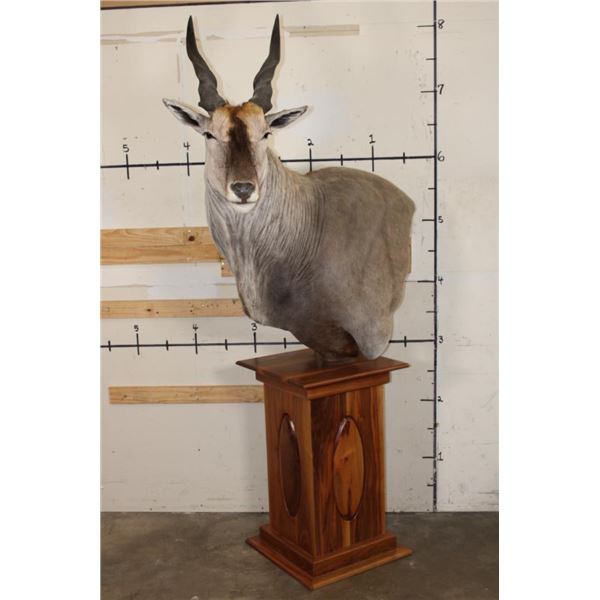 *Incredible* ELAND Pedestal Mount with a Sheesham Wood Pedestal