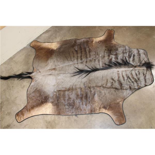 BLUE WILDEBEEST Hide Rug with Leather Piping, a Canvas Backing, and Hanging Loops