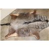 Image 1 : BLUE WILDEBEEST Hide Rug with Leather Piping, a Canvas Backing, and Hanging Loops