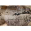 Image 4 : BLUE WILDEBEEST Hide Rug with Leather Piping, a Canvas Backing, and Hanging Loops