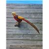 Image 4 : Life-sized GOLDEN PHEASANT Bird Mount