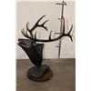 Image 3 : Big Original "Bugle Boy" Elk Bronze #7 of 18 by artist Greg O'Neal, Weight 20 lbs