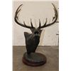 Image 4 : Big Original "Bugle Boy" Elk Bronze #7 of 18 by artist Greg O'Neal, Weight 20 lbs