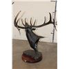 Image 8 : Big Original "Bugle Boy" Elk Bronze #7 of 18 by artist Greg O'Neal, Weight 20 lbs