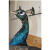Image 9 : Life-sized PEACOCK on a Driftwood Perch Wall Hanger