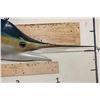 Image 4 : *Rarely Seen* Reproduction WHITE MARLIN Fish Mount