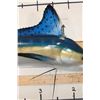 Image 5 : *Rarely Seen* Reproduction WHITE MARLIN Fish Mount