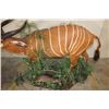Image 8 : Life-sized BONGO with a Life-sized BLUE DUIKER on a Base with Wheels