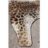 Image 8 : XXL GIRAFFE Rug with a Canvas Backing, Hanging Loops, and Leather Piping