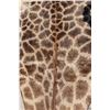 Image 9 : XXL GIRAFFE Rug with a Canvas Backing, Hanging Loops, and Leather Piping