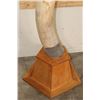 Image 4 : *TEXAS RESIDENTS ONLY* 128 lb Set of ELEPHANT IVORY TUSKS on Wood Base Stands