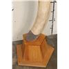 Image 7 : *TEXAS RESIDENTS ONLY* 128 lb Set of ELEPHANT IVORY TUSKS on Wood Base Stands