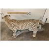 Image 12 : *TEXAS RESIDENTS ONLY* Massive Life-sized LEOPARD on a Log Wall Hanging Base