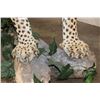 Image 13 : *TEXAS RESIDENTS ONLY* Massive Life-sized LEOPARD on a Log Wall Hanging Base