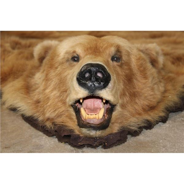 XXL Felted BROWN BEAR/GRIZZLY BEAR Rug with its Mounted Head