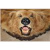 Image 1 : XXL Felted BROWN BEAR/GRIZZLY BEAR Rug with its Mounted Head