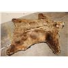 Image 3 : XXL Felted BROWN BEAR/GRIZZLY BEAR Rug with its Mounted Head