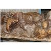 Image 9 : XXL 8' 10" Long Original Leadwood Carving of 3 CAPE BUFFALO and 4 WILDEBEEST by artist Robert Nzali