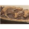 Image 16 : 6' Long Original Hand-carved Leadwood CAPE BUFFALO Heard Sculpture by artist Mandla Khumalo