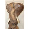 Image 8 : XL Leadwood Carving of a Mother ELEPHANT with HIPPO Tooth Ivory Tusks, her Calf, and a GIRAFFE