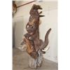 Image 14 : XL 4' Original Leadwood Hand-carved Sculpture "Lucky" by African artist Nhlanhla S. Nkala
