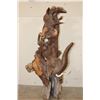 Image 17 : XL 4' Original Leadwood Hand-carved Sculpture "Lucky" by African artist Nhlanhla S. Nkala