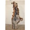 Image 9 : XL 4' Original Leadwood Hand-carved Sculpture "Lucky" by African artist Nhlanhla S. Nkala