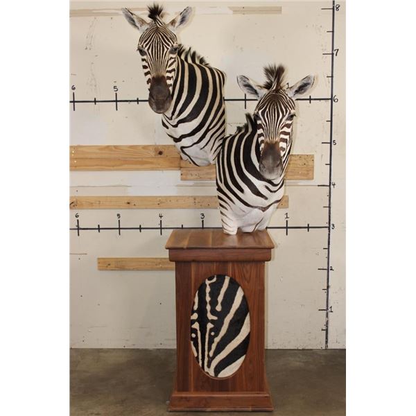 Beautiful Double ZEBRA Pedestal Mount