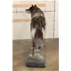 Image 9 : XXL Life-sized TIMBERWOLF on a simulated Snowy Rock Base