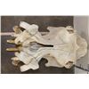 Image 14 : XL HIPPOPOTAMUS Skull with *Real Ivory* Teeth