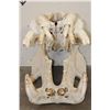 Image 4 : XL HIPPOPOTAMUS Skull with *Real Ivory* Teeth
