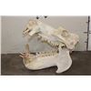 Image 7 : XL HIPPOPOTAMUS Skull with *Real Ivory* Teeth