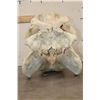 Image 9 : XL HIPPOPOTAMUS Skull with *Real Ivory* Teeth