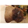 Image 8 : XL BUFFALO or BISON Shoulder Mount
