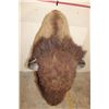 Image 9 : XL BUFFALO or BISON Shoulder Mount