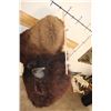 Image 10 : Big BUFFALO or BISON Shoulder Mount