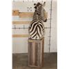 Image 12 : ZEBRA and Rustic Wood Pedestal Mount